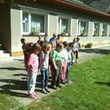 IMG_20150617_094320.jpg
