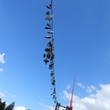 DSCN3527.JPG