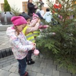 DSCF1705.JPG