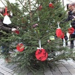 DSCF1725.JPG
