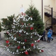 DSCF1728.JPG
