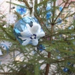 DSCF1761.JPG