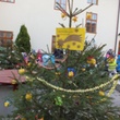DSCF1768.JPG