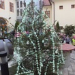 DSCF1769.JPG