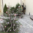 DSCF1771.JPG