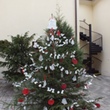 DSCF1772.JPG