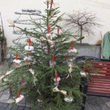 DSCF1778.JPG