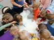IMG_20221005_094323.jpg