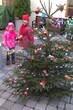 IMAG0329.jpg
