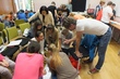 DSCF0574.JPG