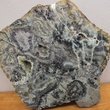 DSCF9874.JPG