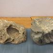 DSCF9876.JPG