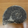 DSCF9877.JPG